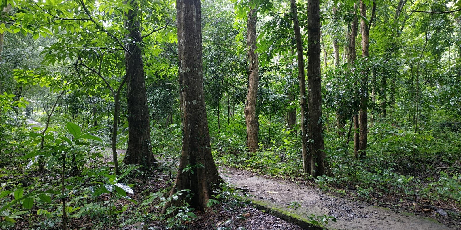 Kerandangan Nature Recreation Park - Image 1