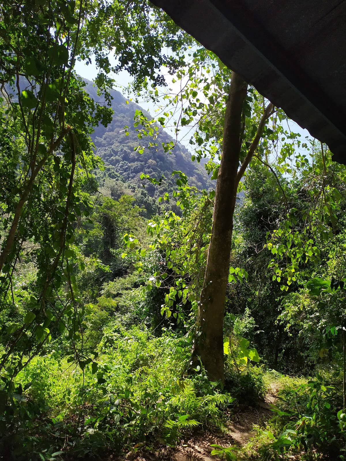 Vertical photo