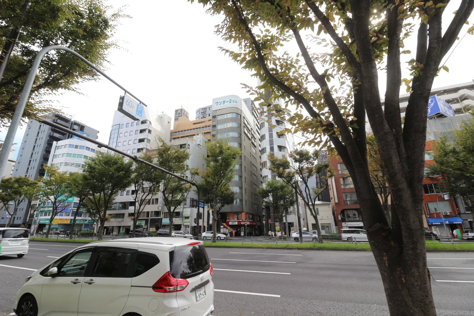 Kujira Sake Bar - Image 1