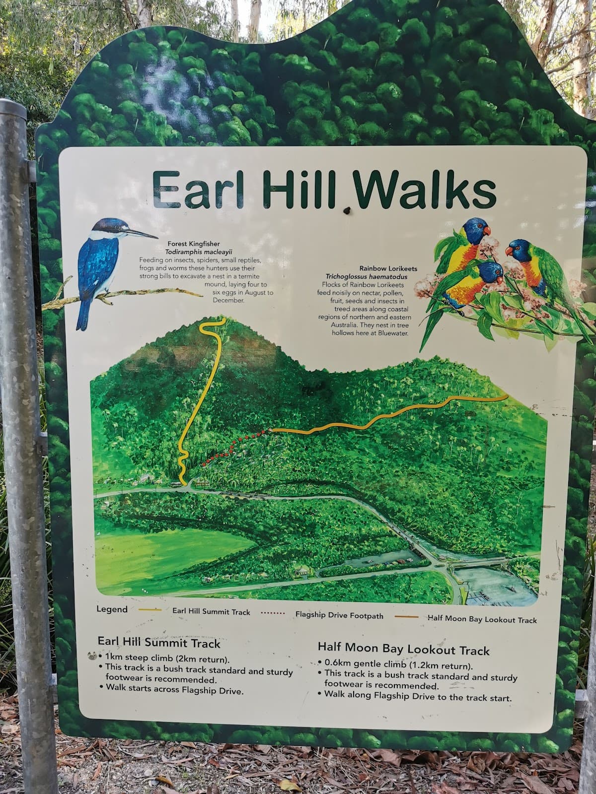 Earl Hill Summit Track - Image 1