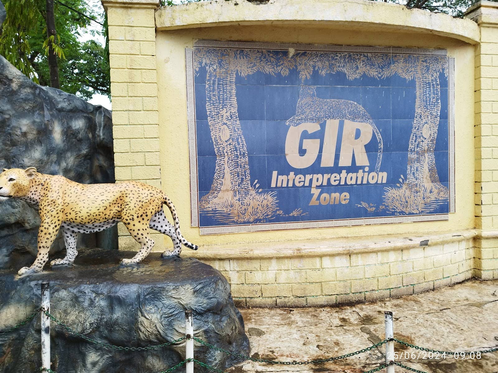 Diverse Wildlife Encounters