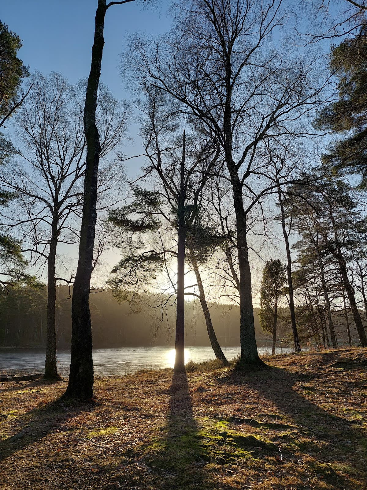 Simlångsdalen Valley - Image 1