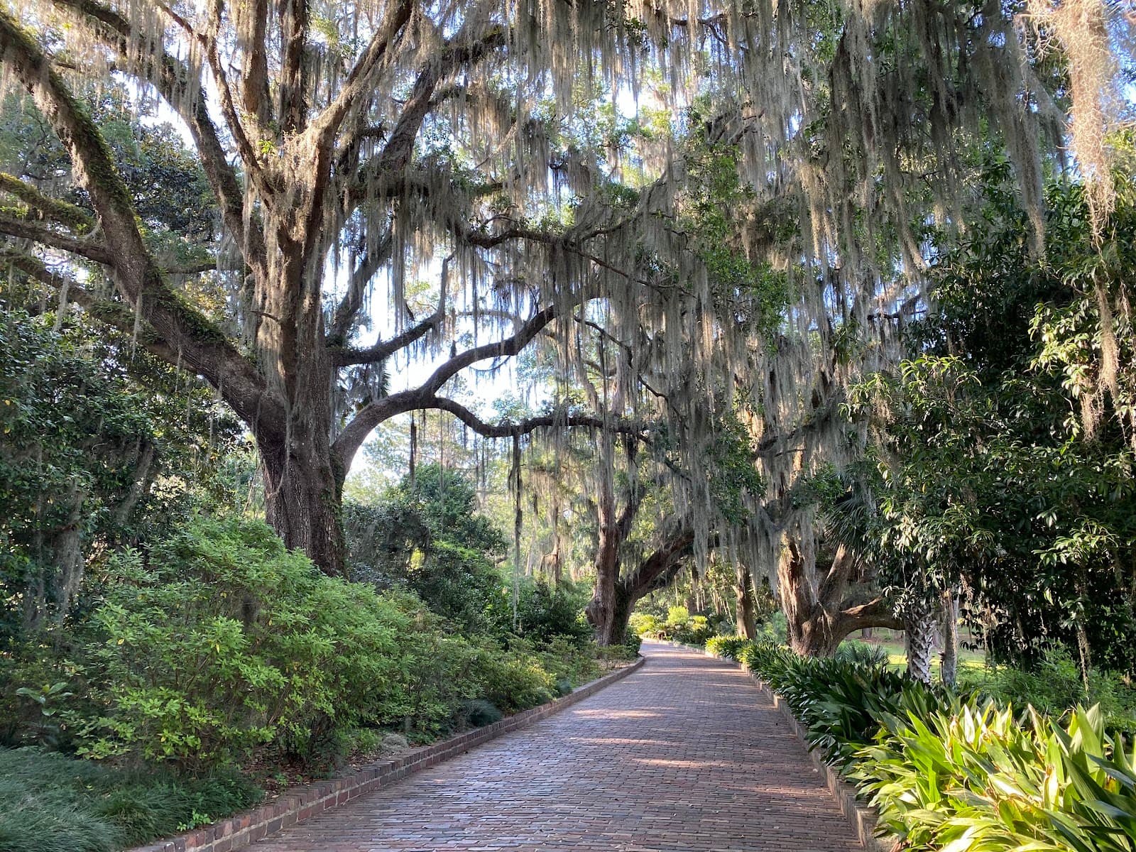 Alfred B. Maclay Gardens State Park - Image 1
