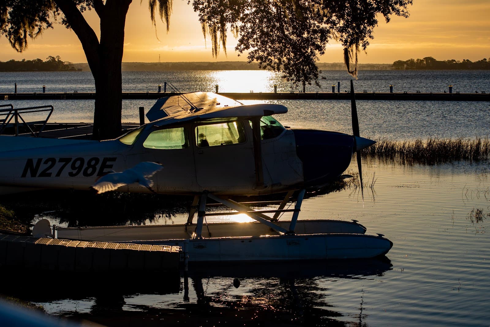 Tavares Seaplane Base and Marina - Image 1