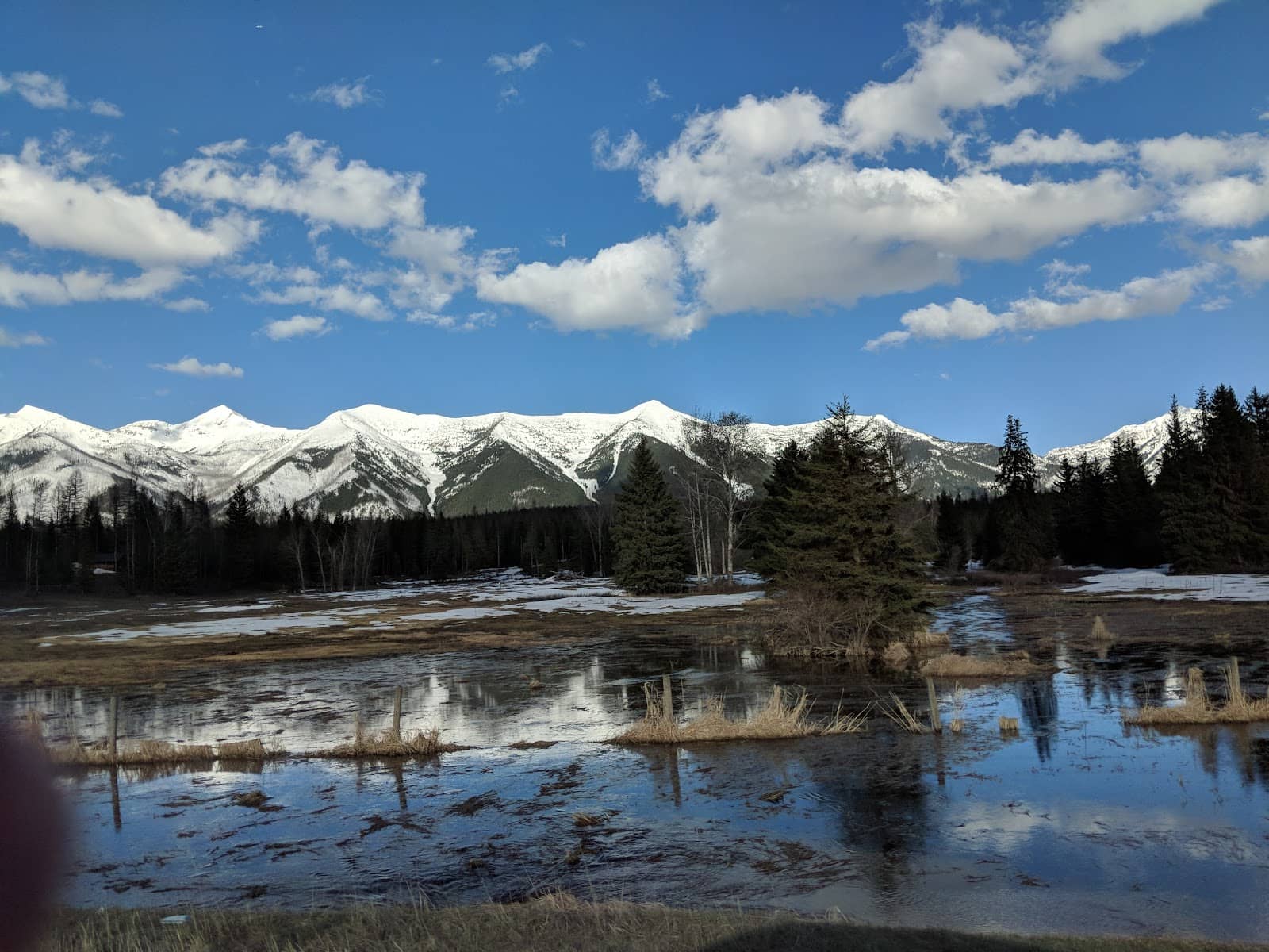 Pristine Lake Activities