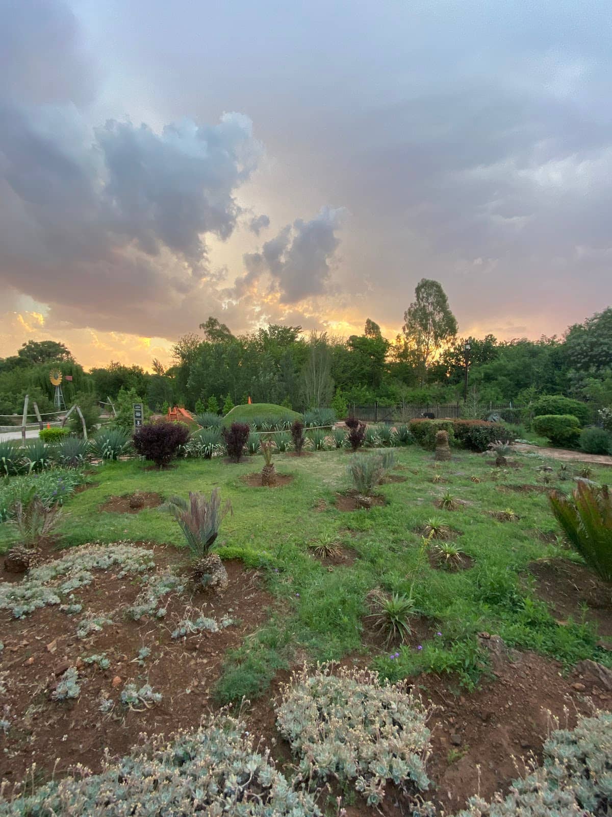 Turkish Restaurant Delights