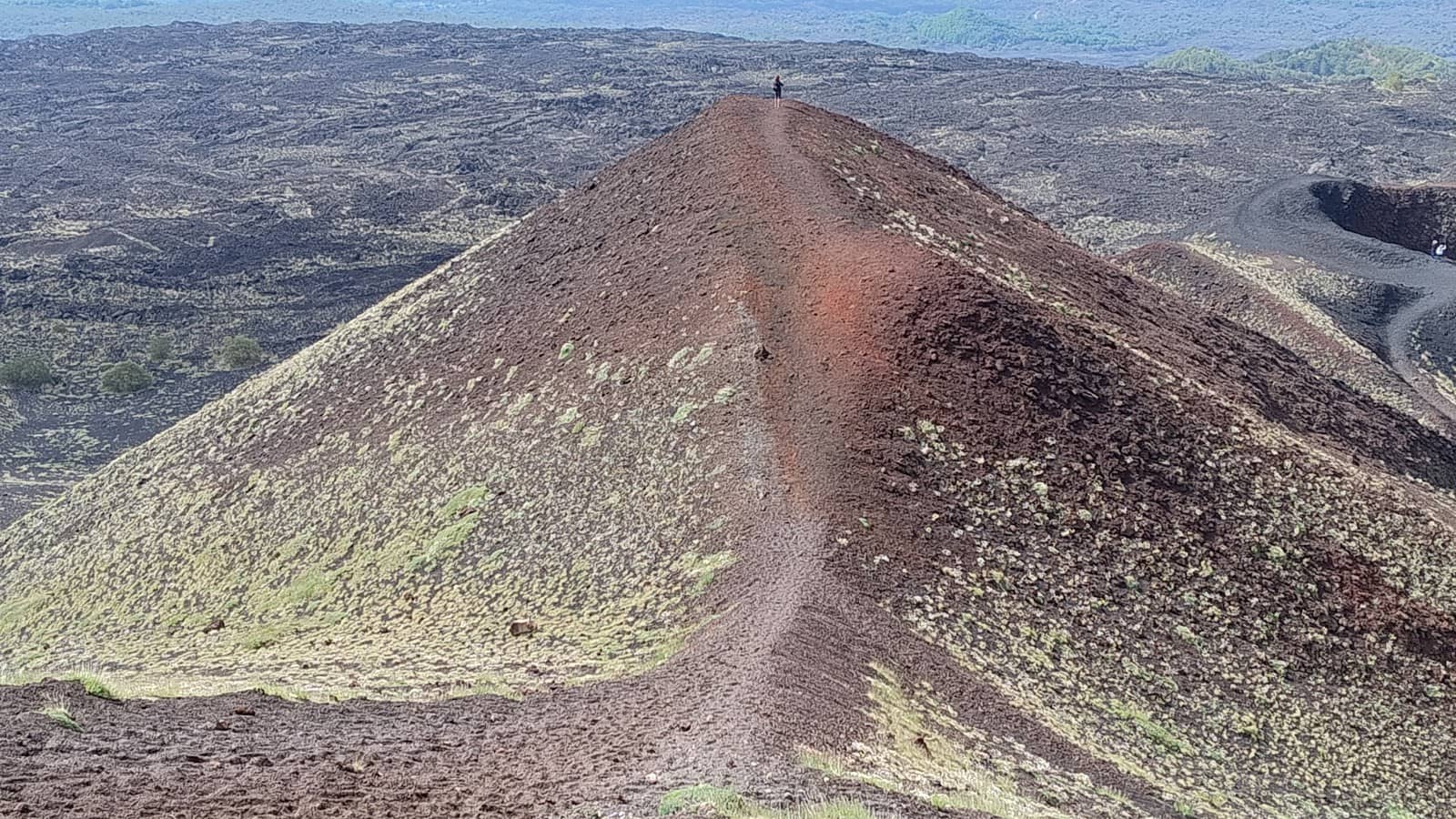 Lava Flow Fields