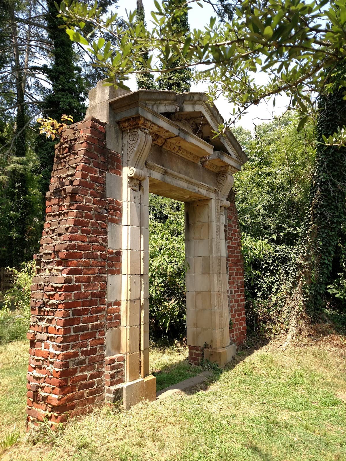 Vertical photo