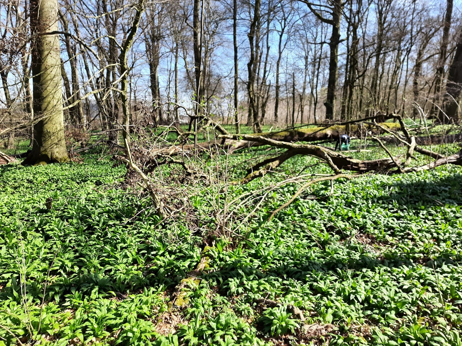 Klieversberg Park - Image 1