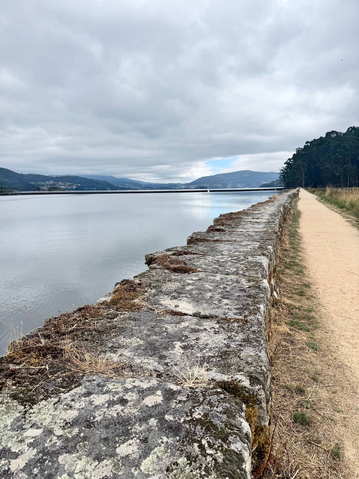 Nature Reserve Views