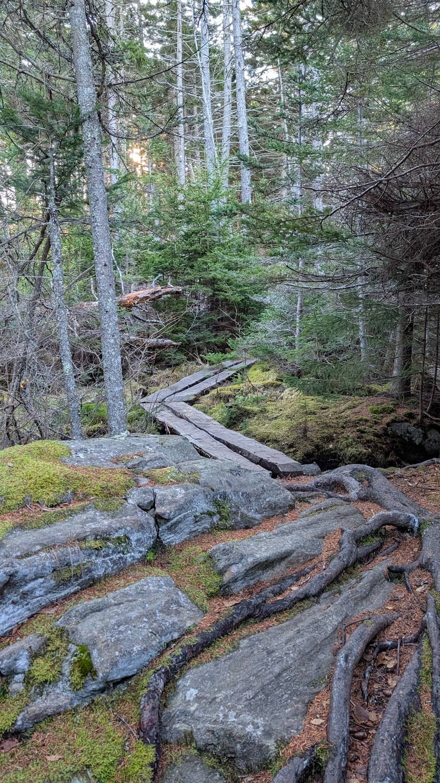 Scenic Wetland Views
