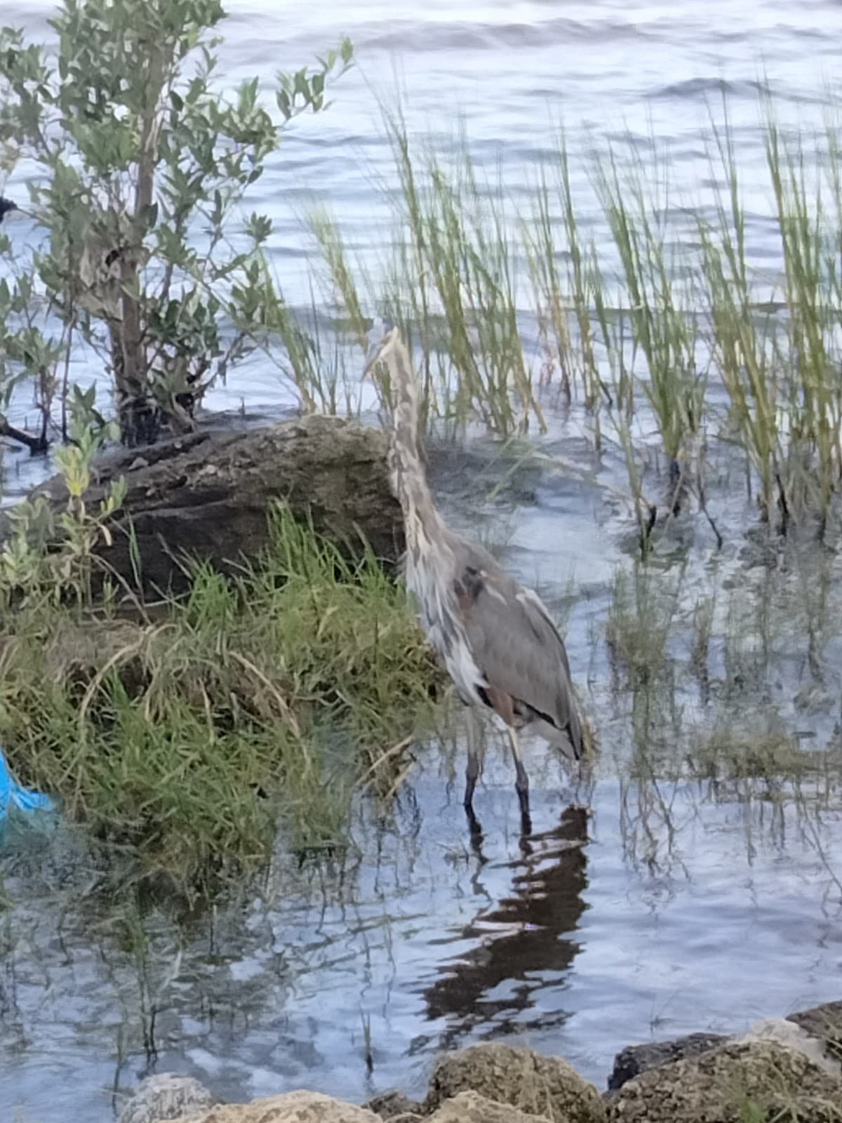 Sweetheart Trail - Image 1