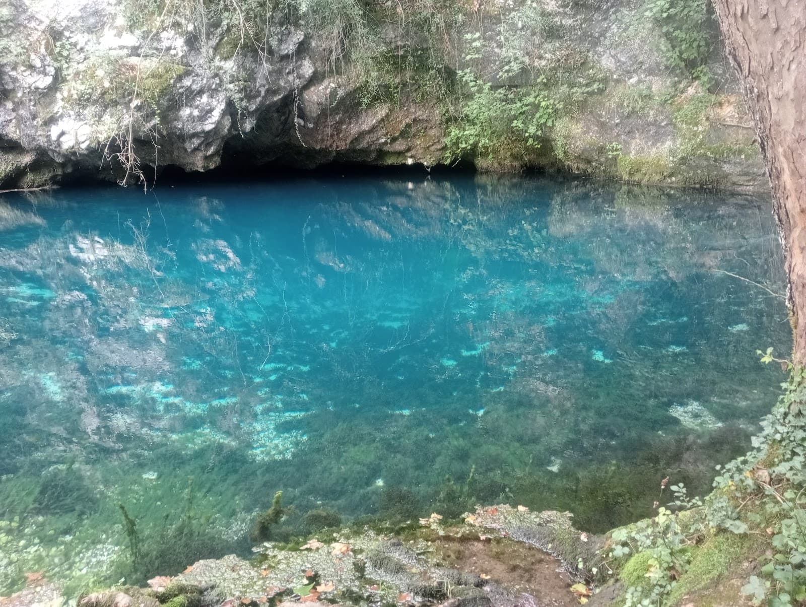 Gorgazzo Spring - Image 1
