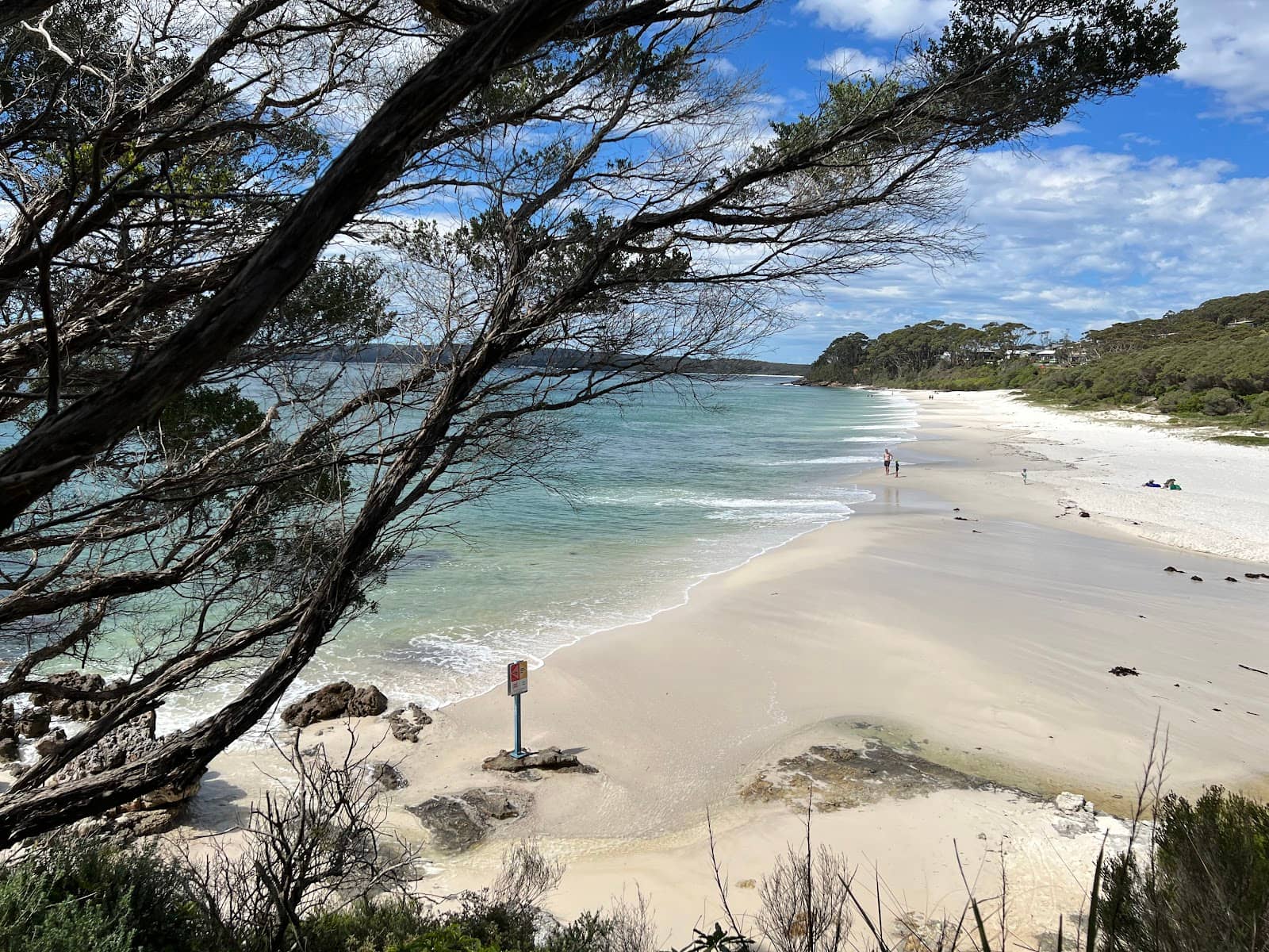 Coastal Vegetation Trail