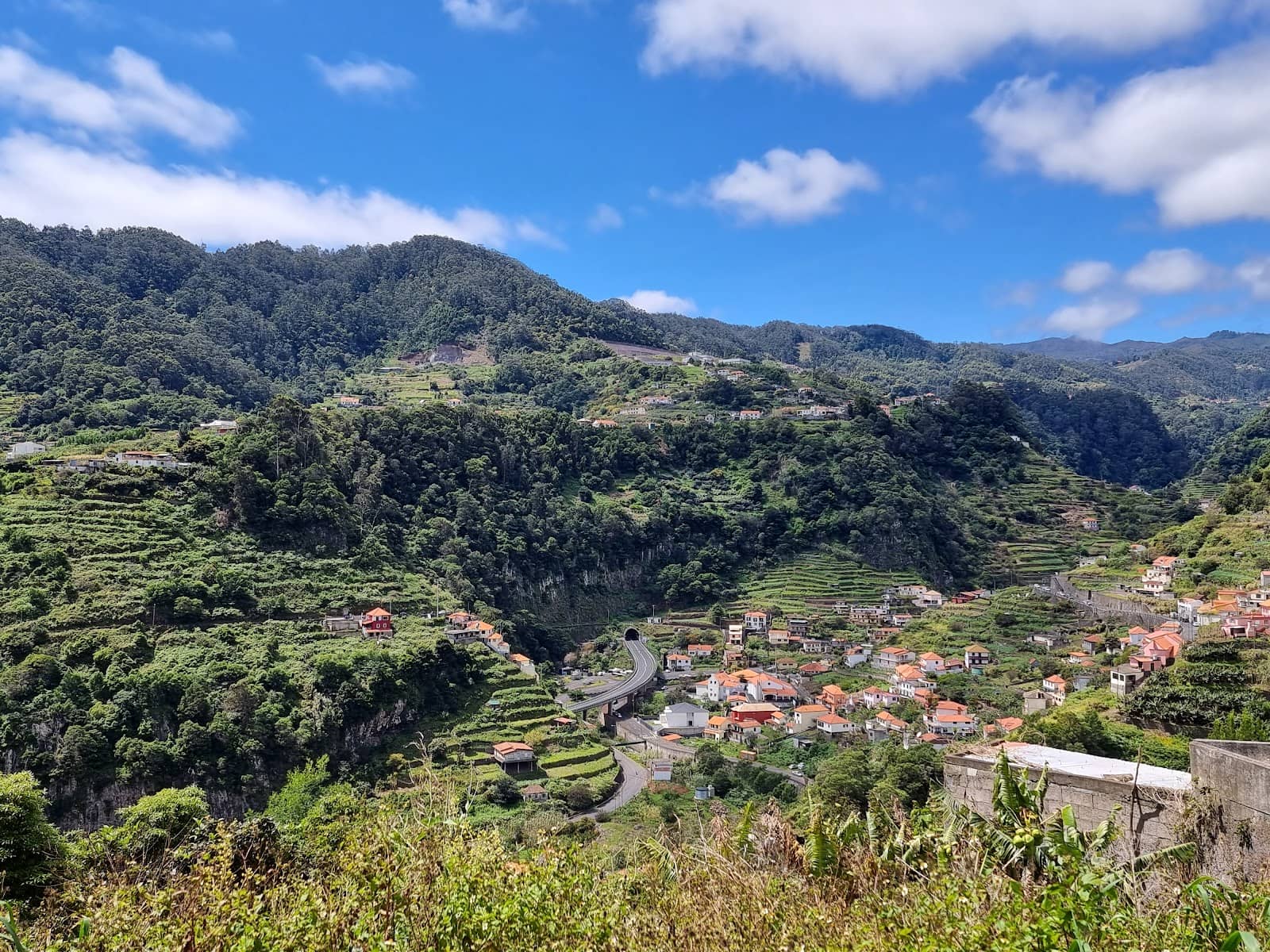 Charming Local Scenery