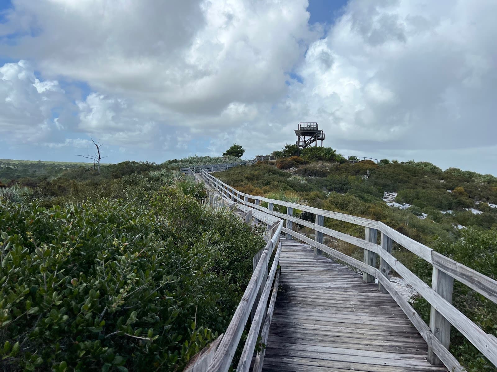 Jonathan Dickinson State Park - Image 1