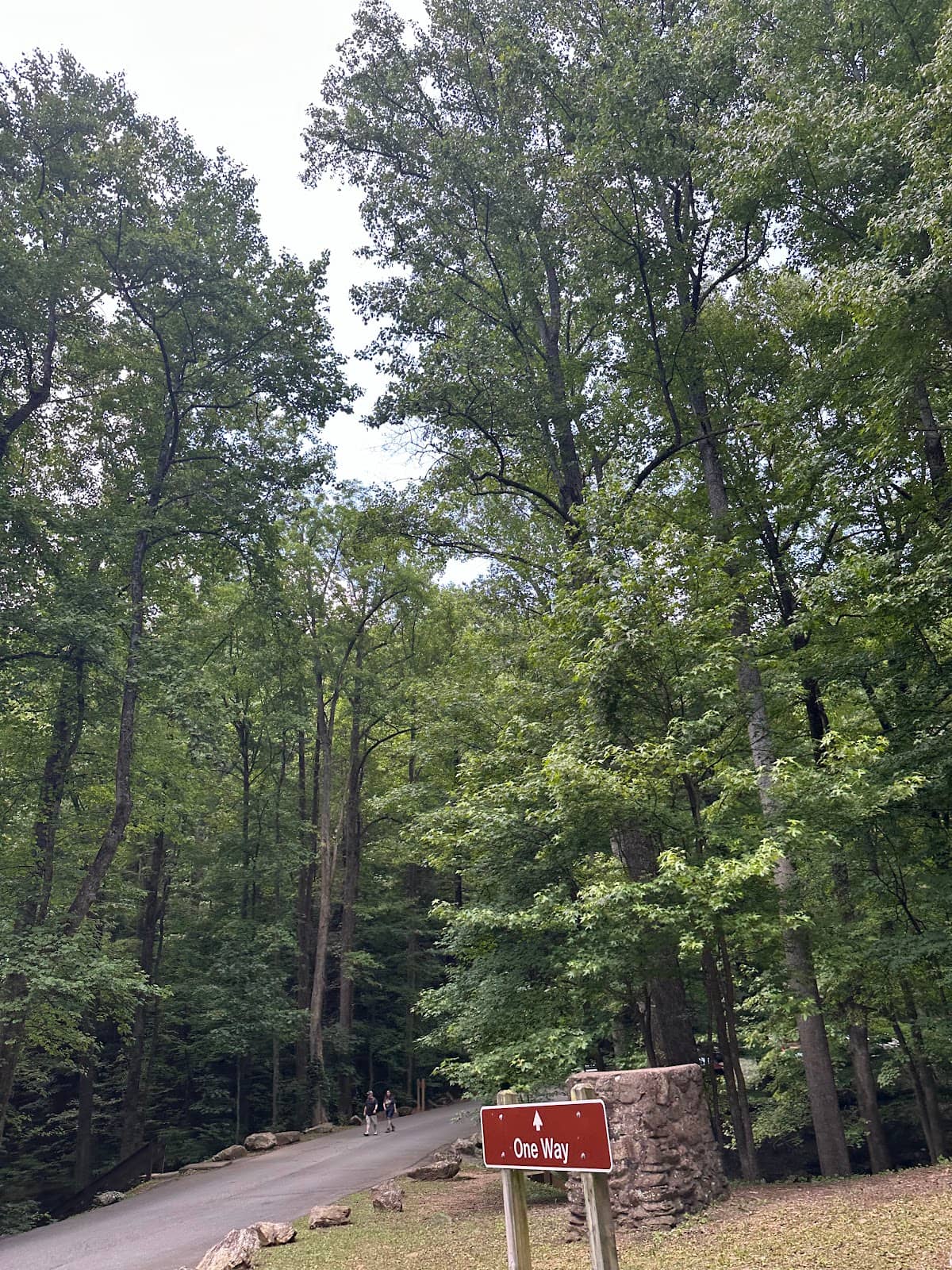 Vertical photo