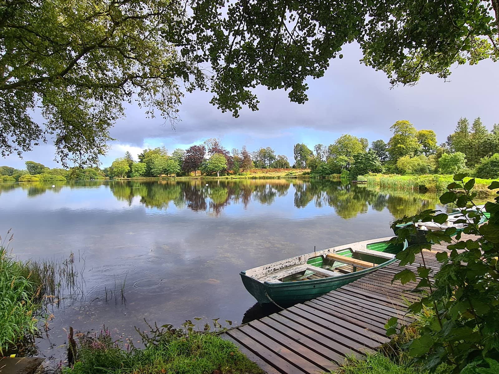 Estate's Natural Beauty