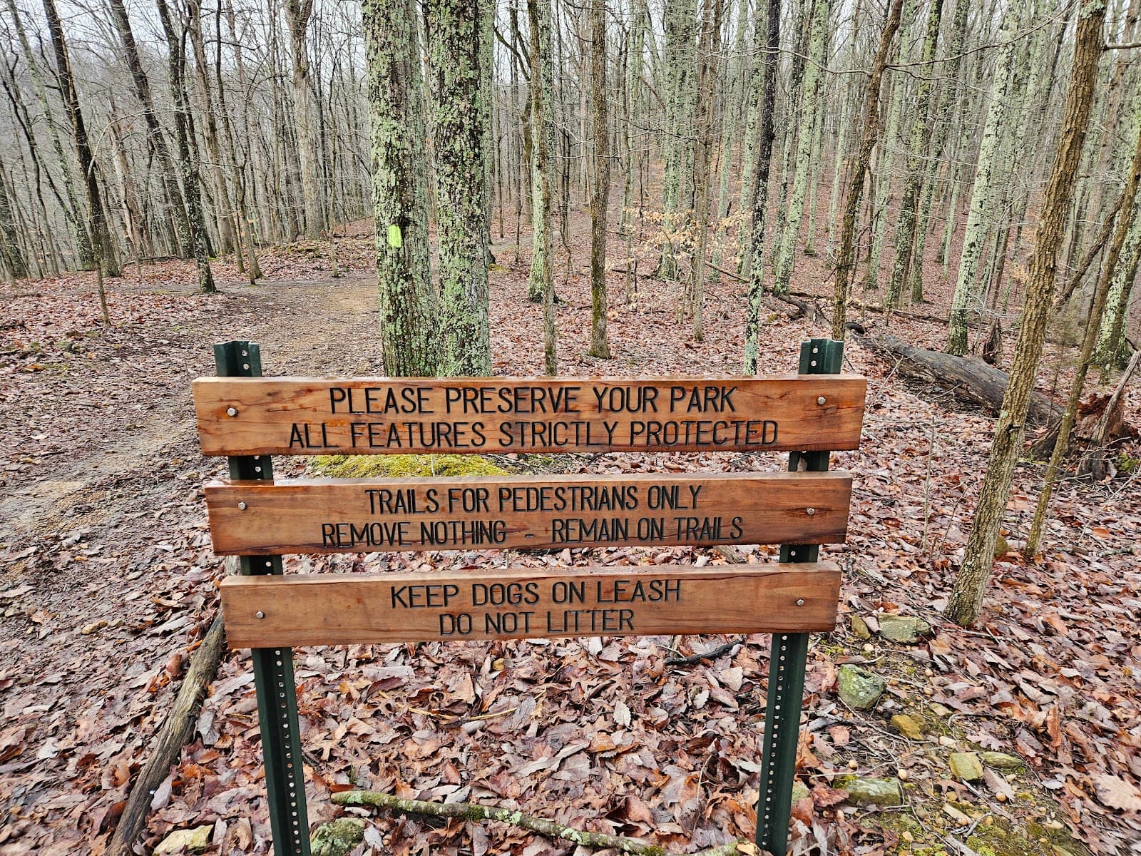 Beaman Park - Image 1