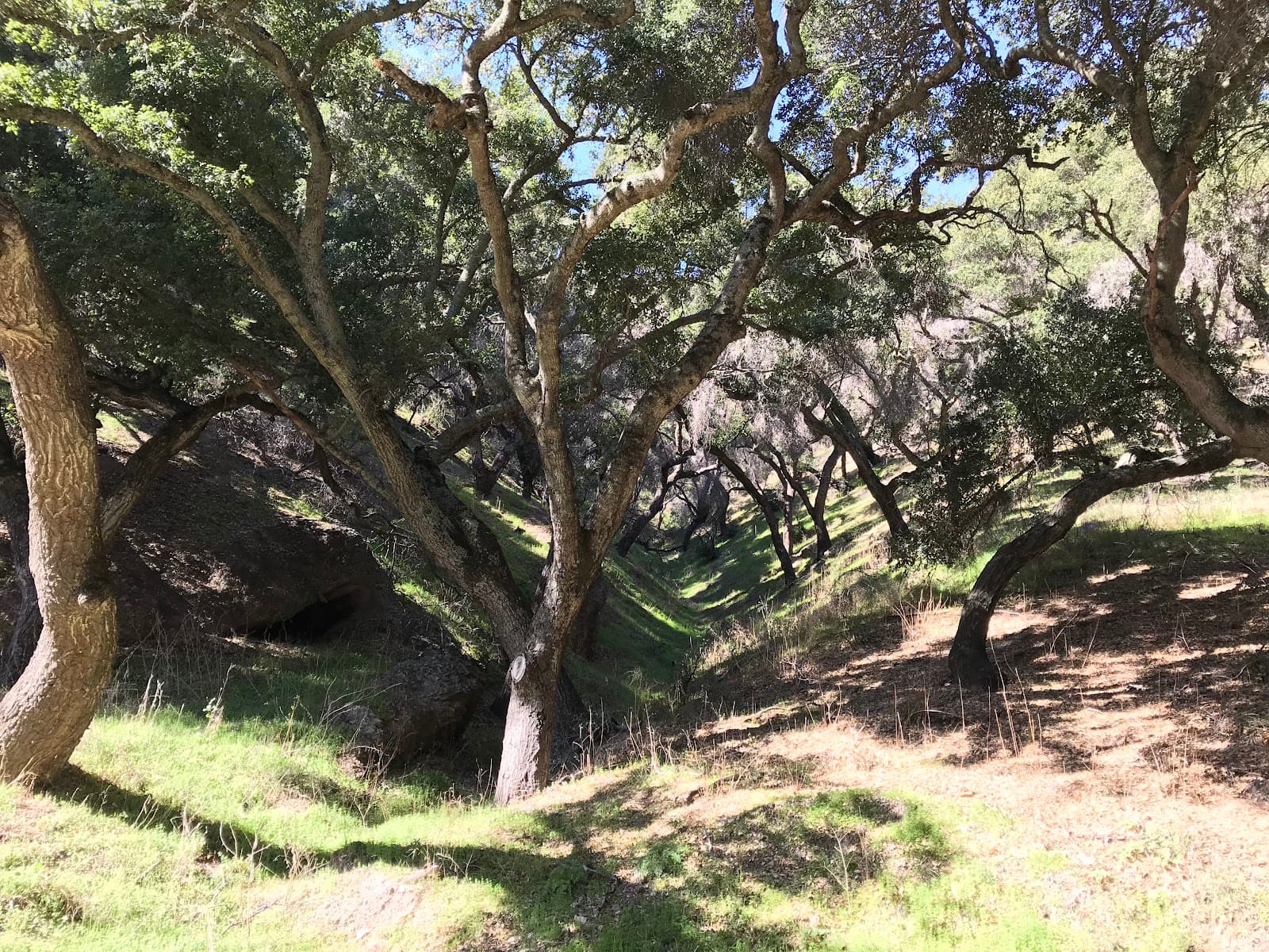 Tepusquet Canyon Scenic Drive - Image 1