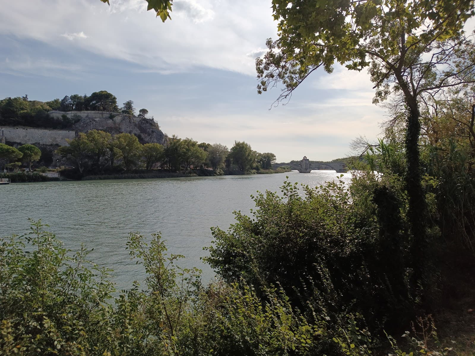 Île de la Barthelasse Avignon - Image 1