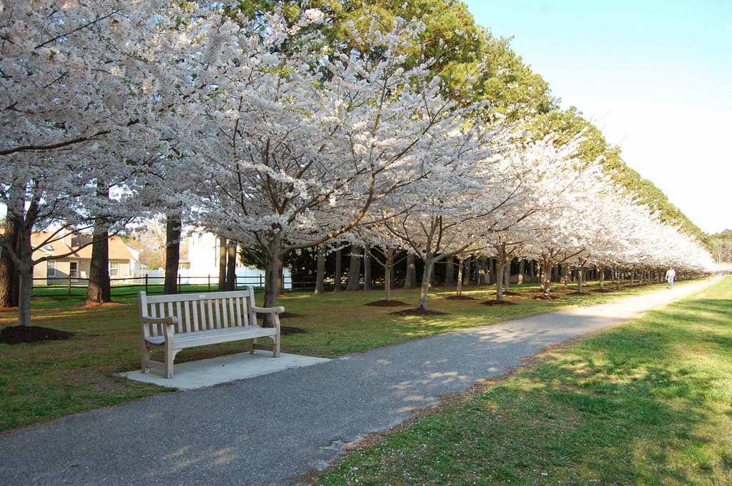 Red Wing Park - Image 1