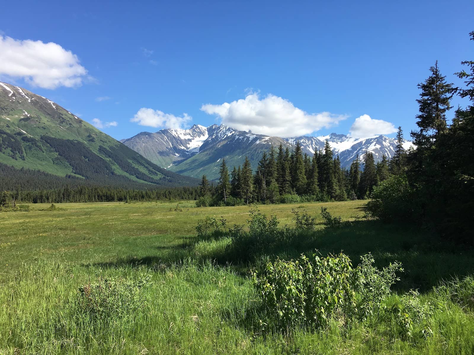 Scenic Walking Paths