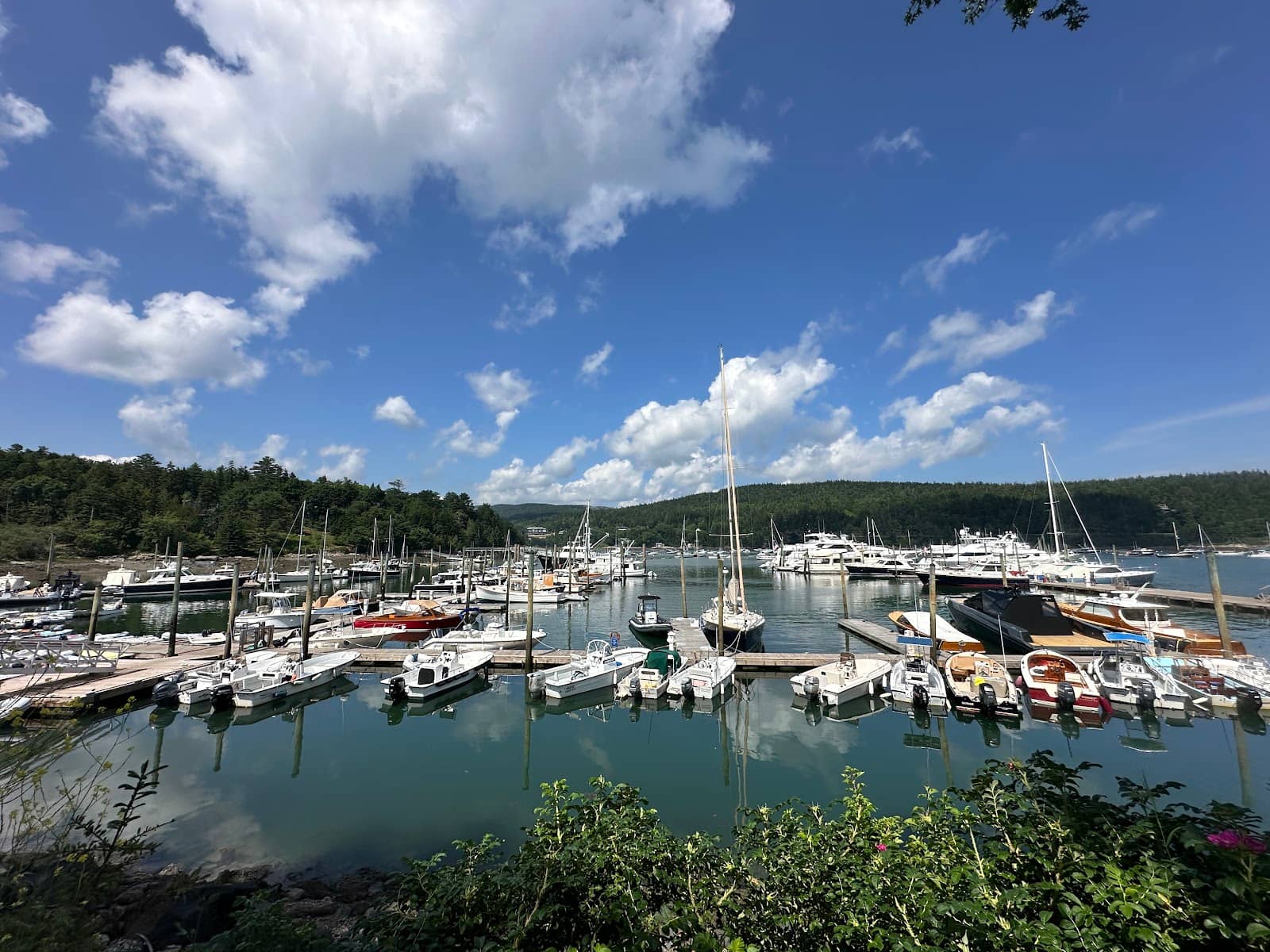 Schooner Head Overlook