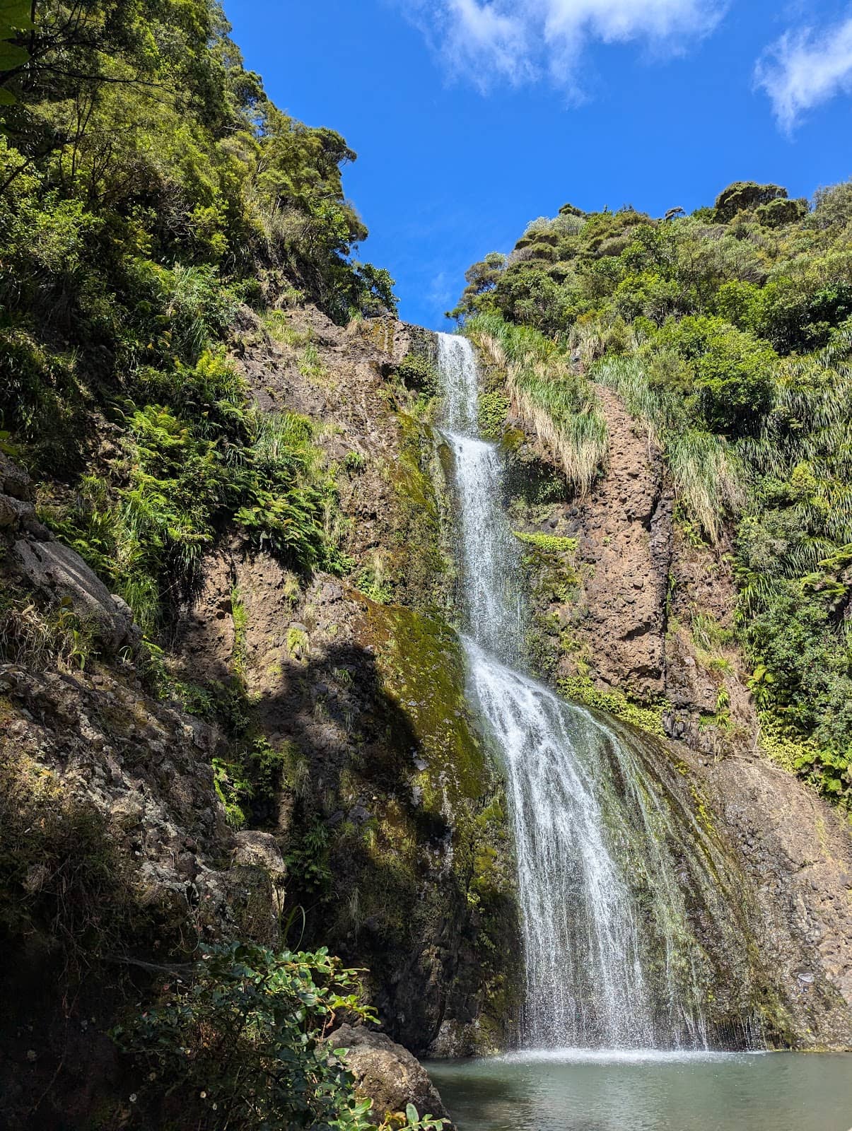 Vertical photo