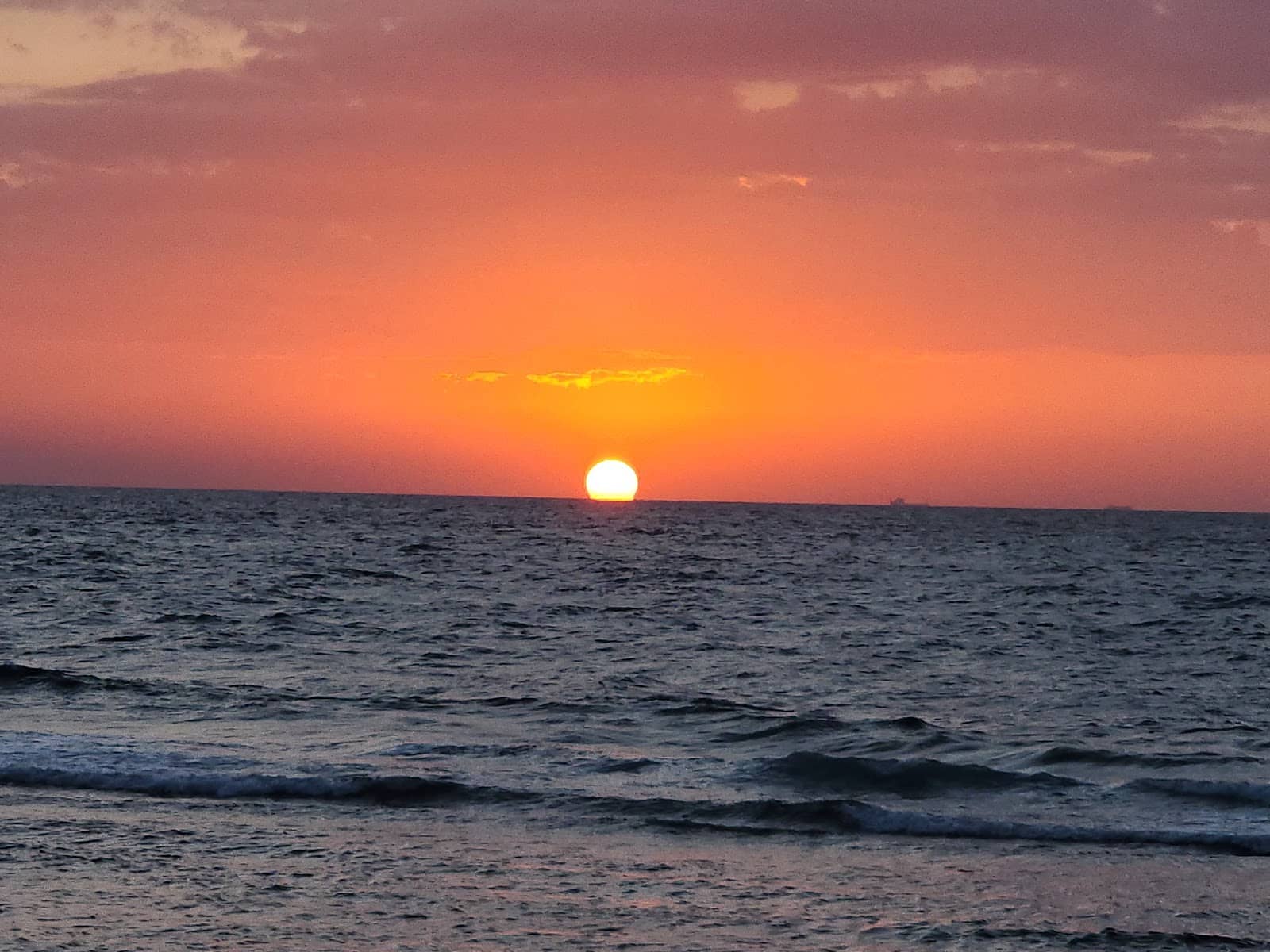 Marine Life Spotting