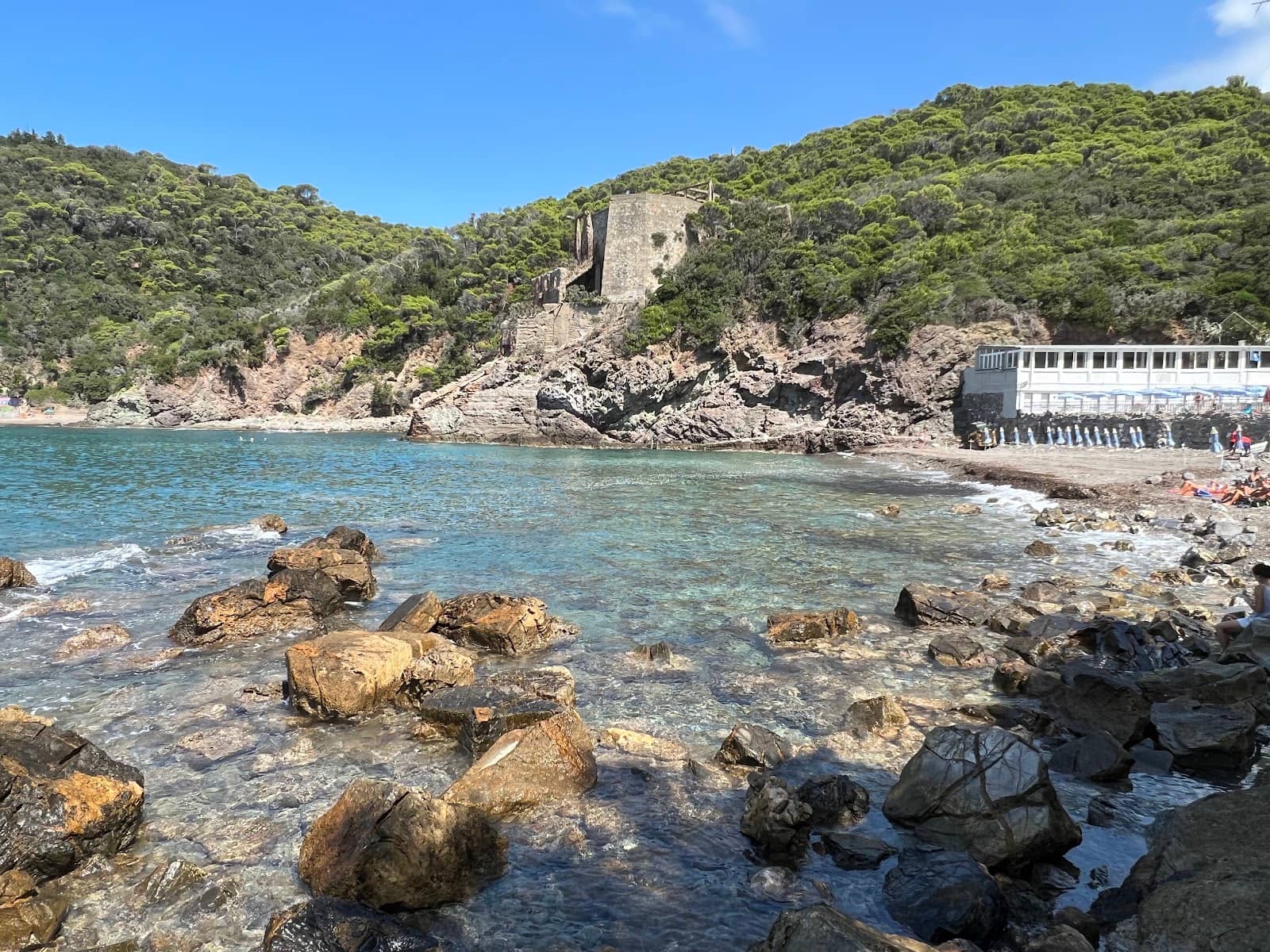 Well-Organized Facilities