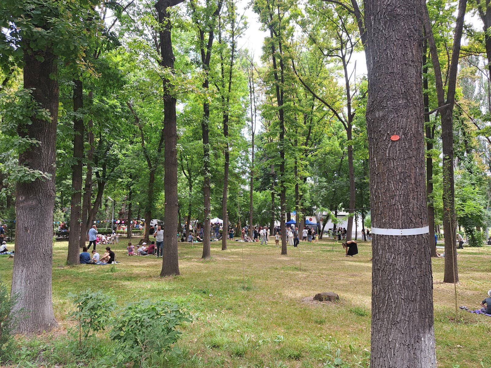 Karagach Grove Park - Image 1