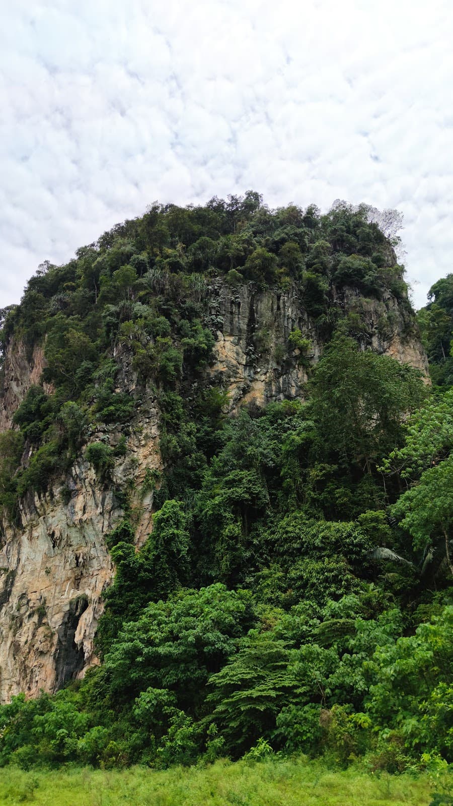 Tambun Cave Paintings Gua Tambun - Image 1