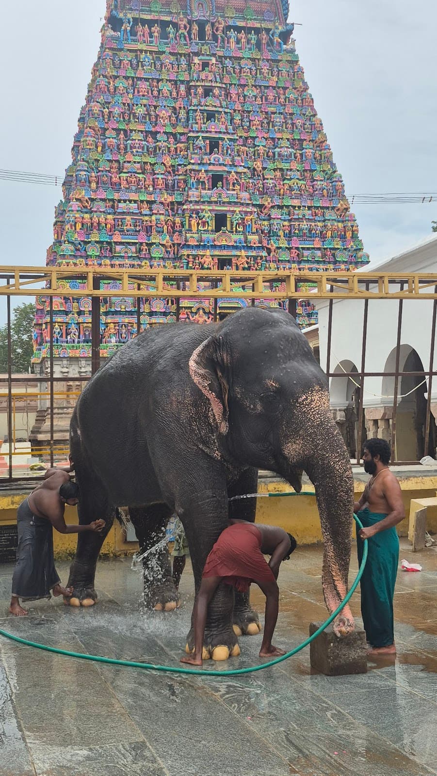 Adi Kumbeswarar Temple Kumbakonam - Image 1