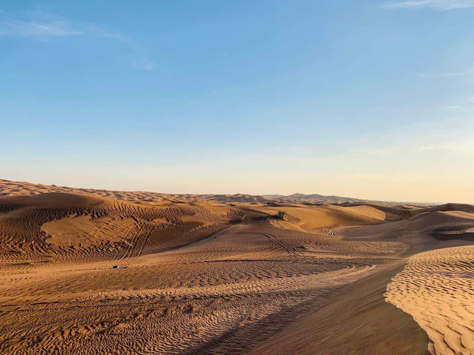 Sunset Camel Rides