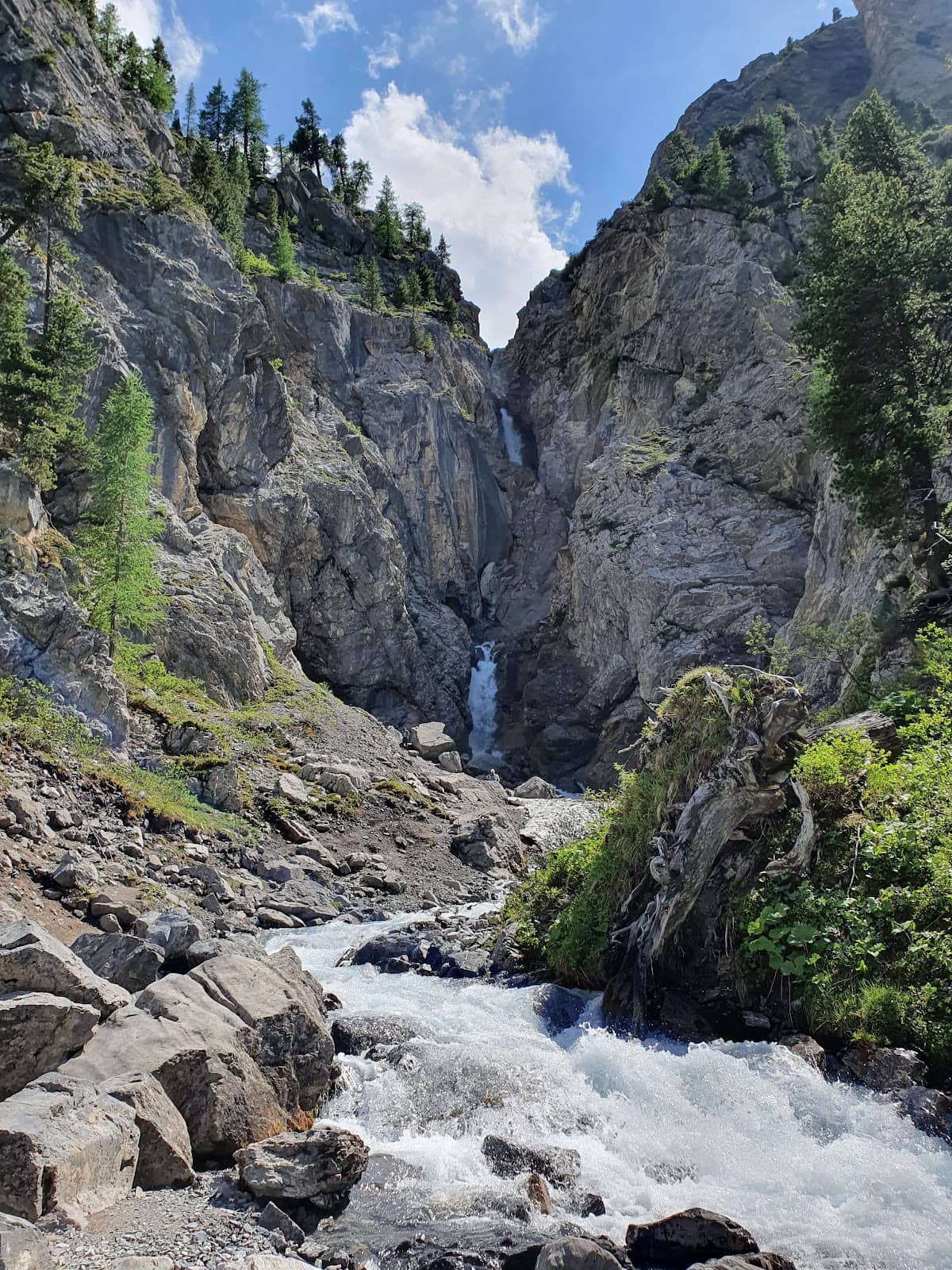Vertical photo