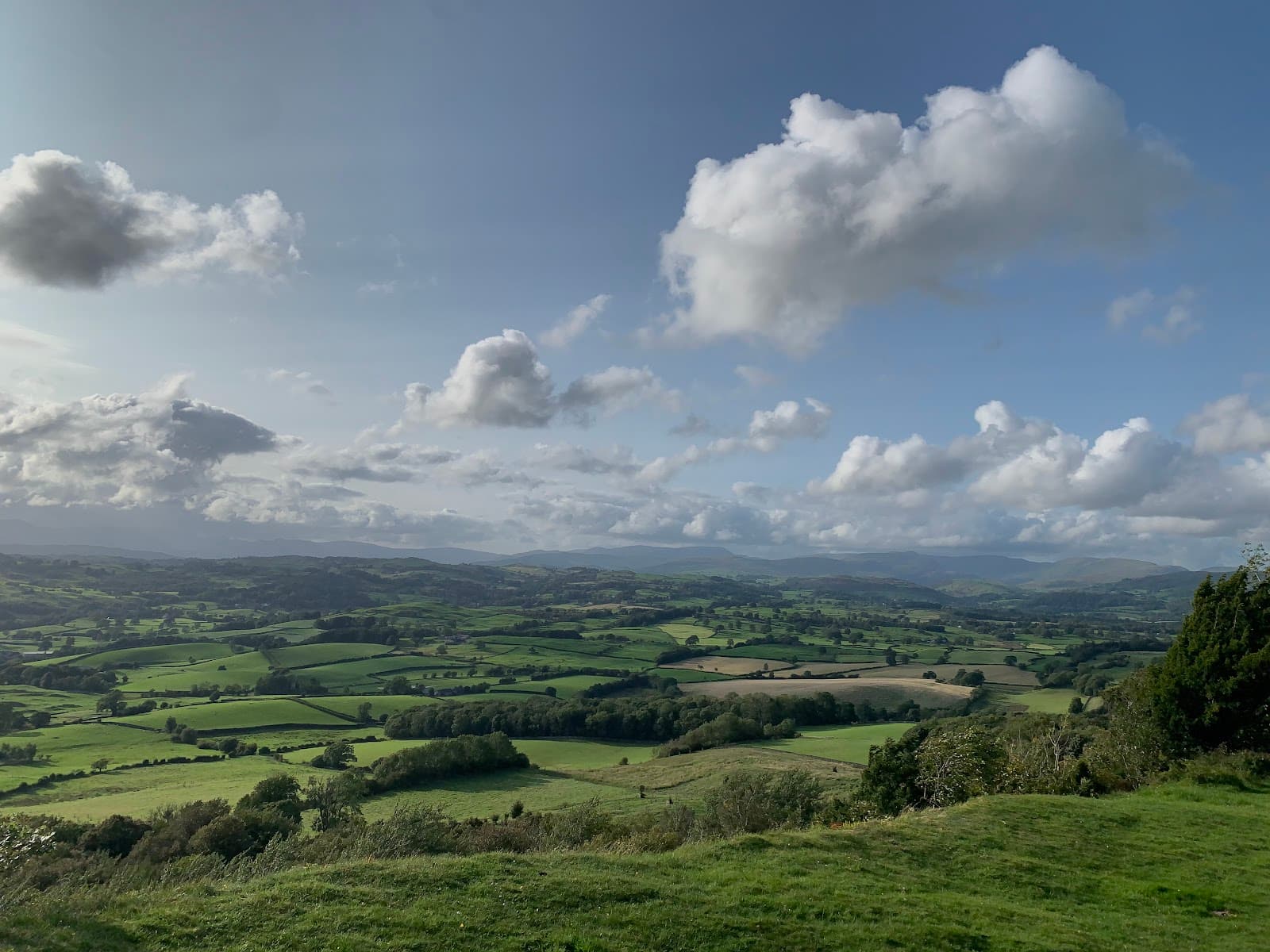 Scout Scar and Mushroom Shelter Kendal - Image 1