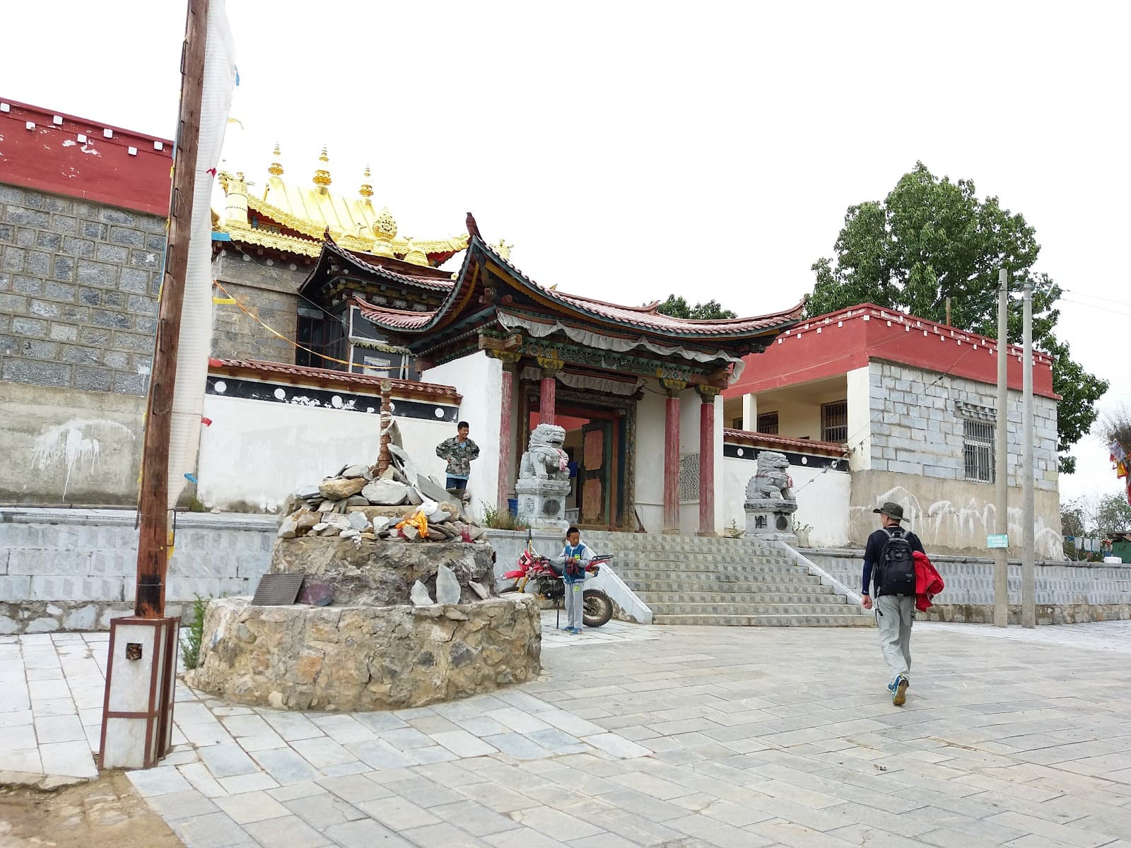 Xiaozhongdian Pasture - Image 1