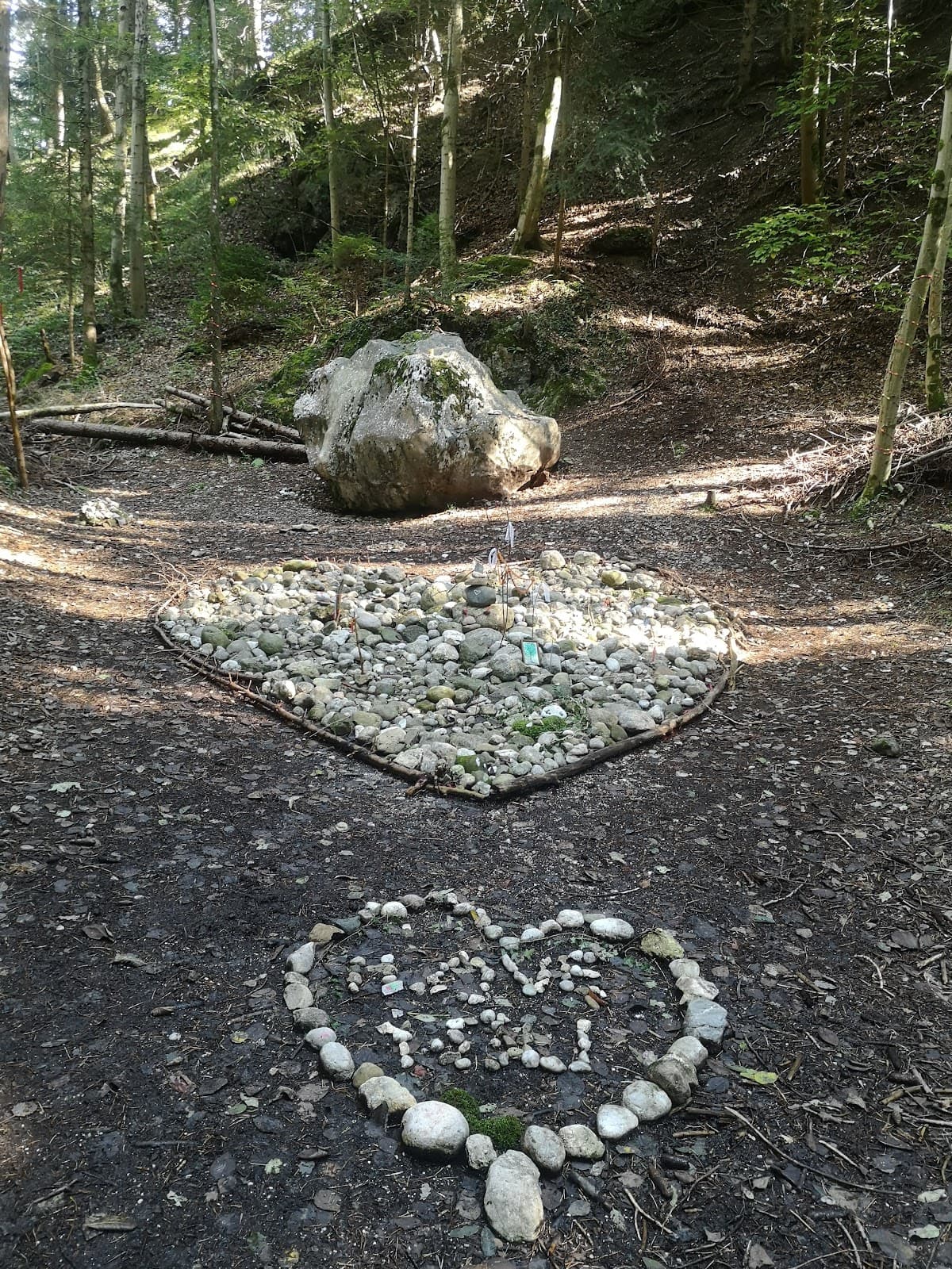 Kirchholz Forest - Image 1