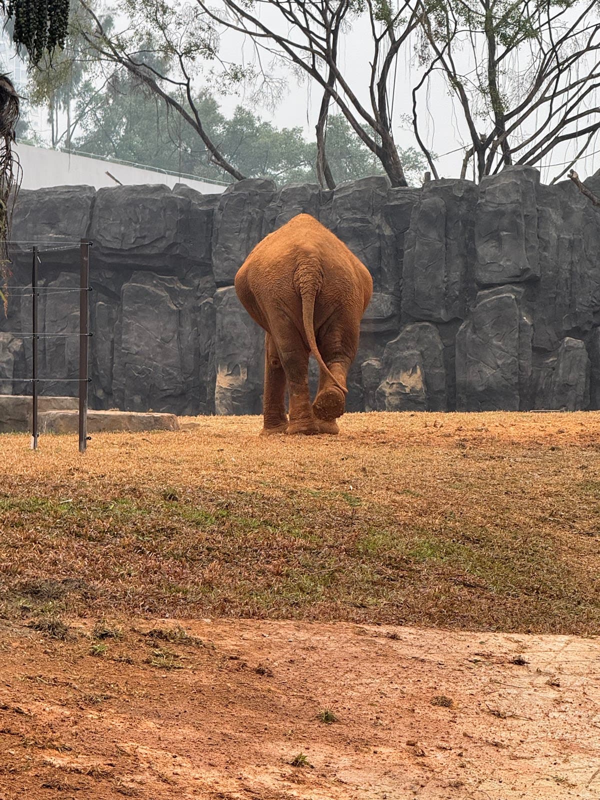 Nanning Zoo - Image 1