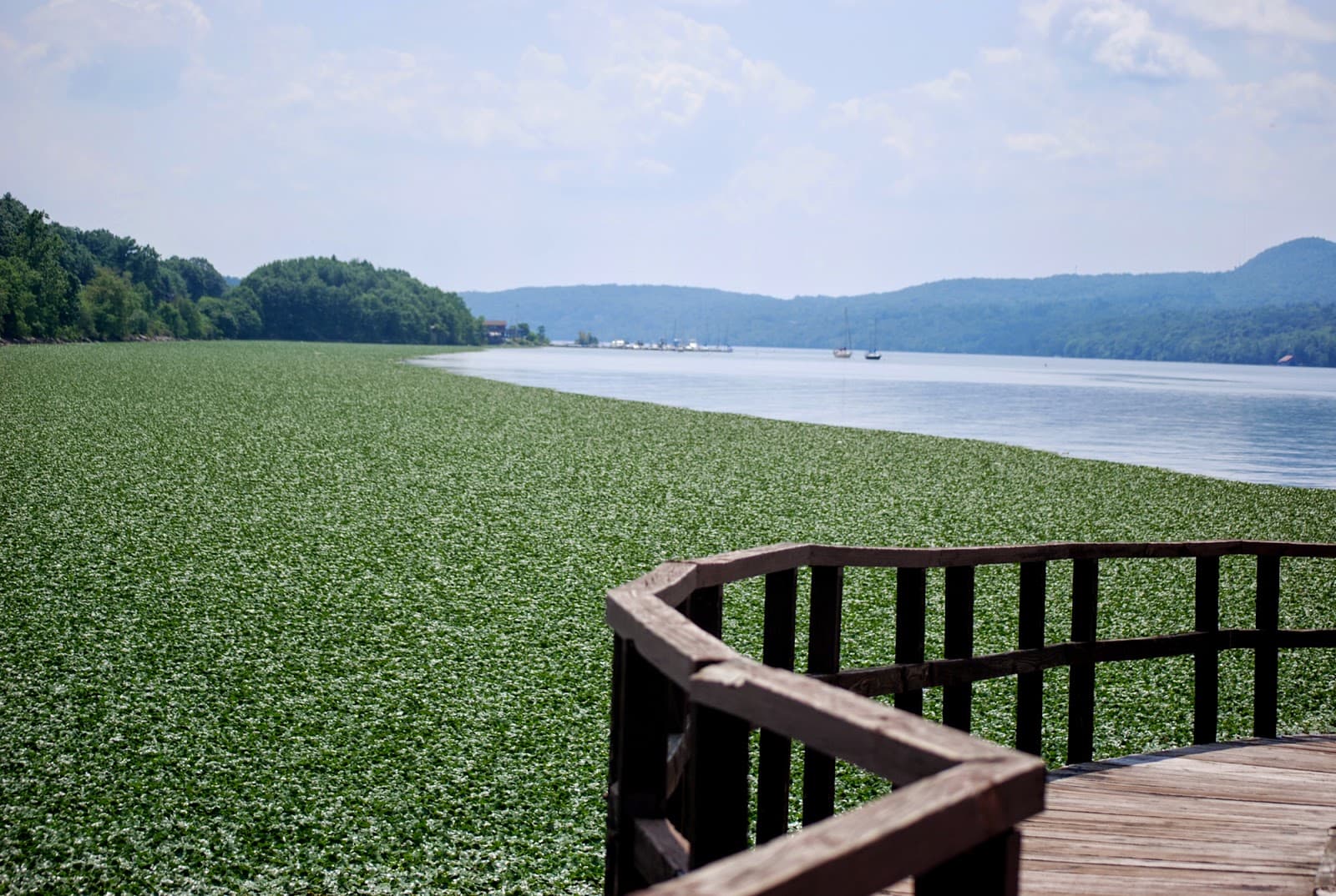 Norrie Point Environmental Education Center - Image 1