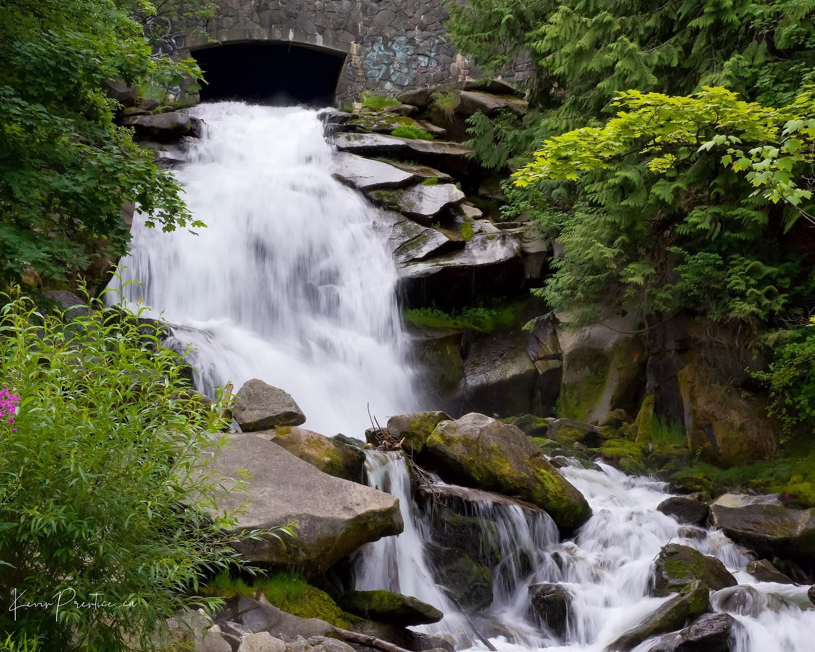 Downtown Nelson - Image 1