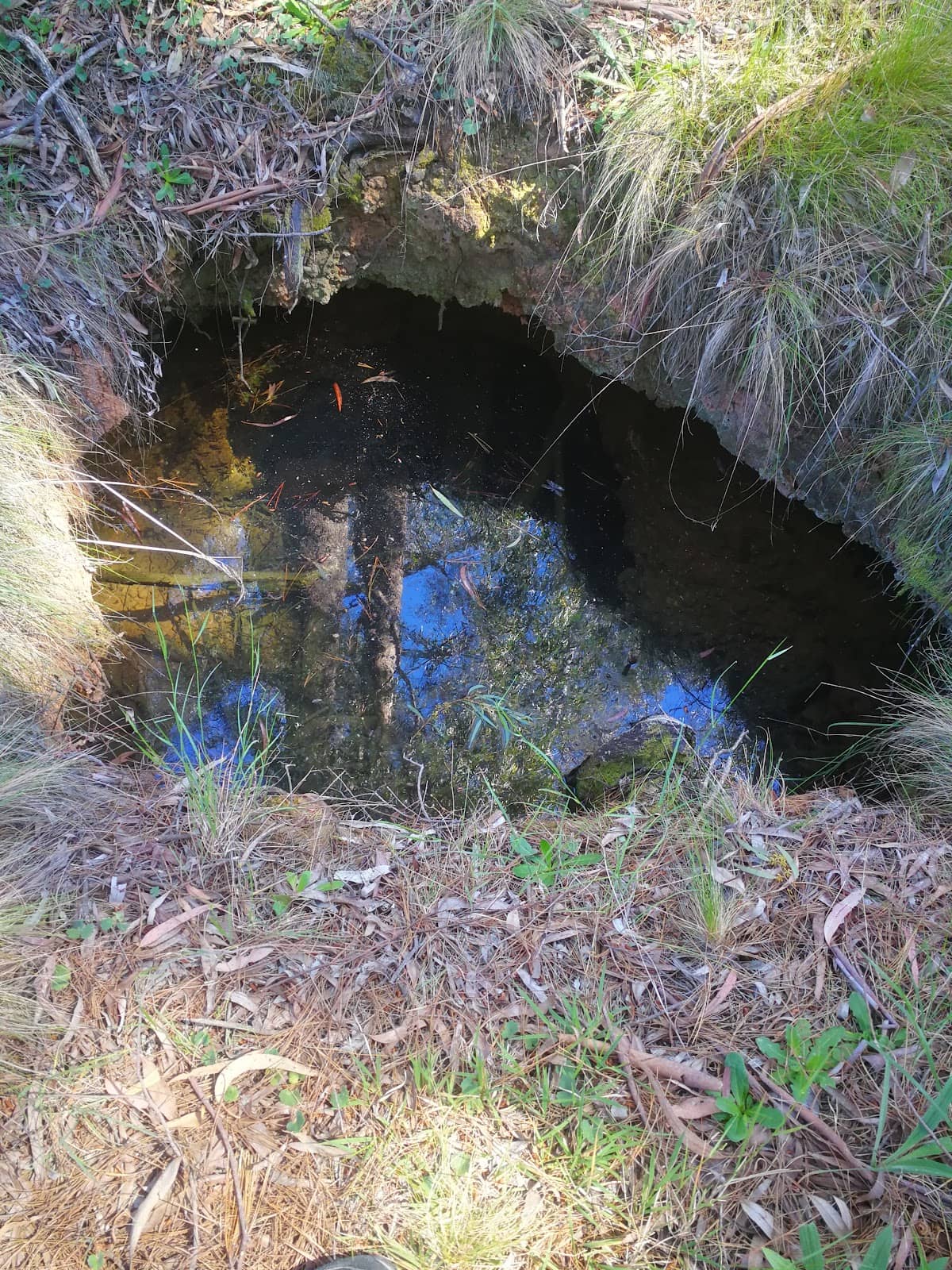 Vertical photo