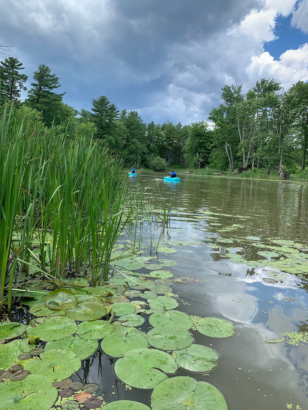 Shelburne Bay Fishing Access - Image 1