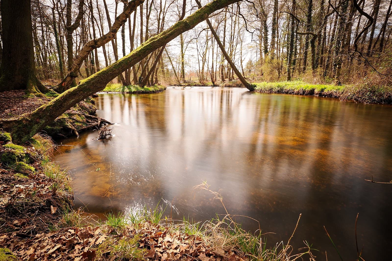 Swalmdal Nature Reserve - Image 1