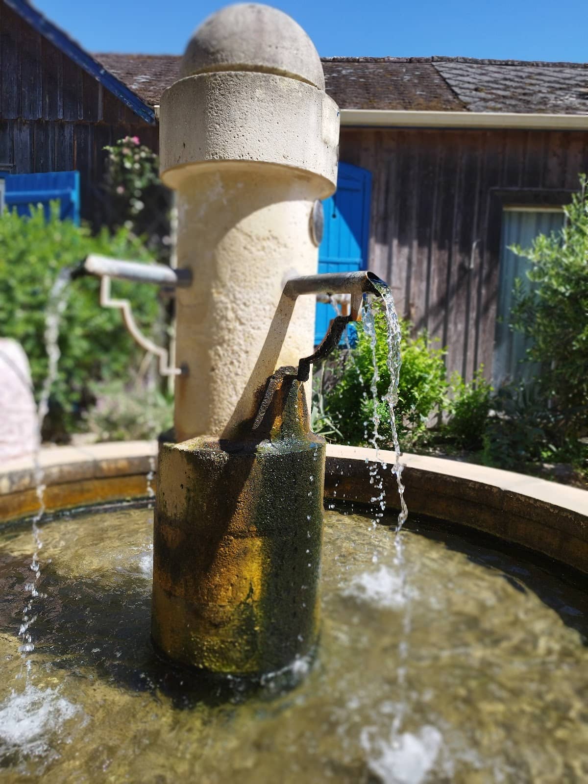 Arcachon Bay Oysters