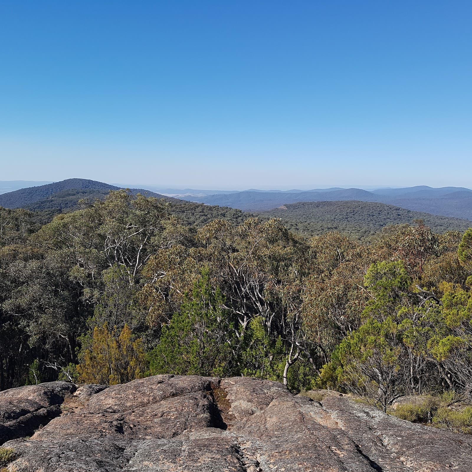 Woomargama National Park - Image 1