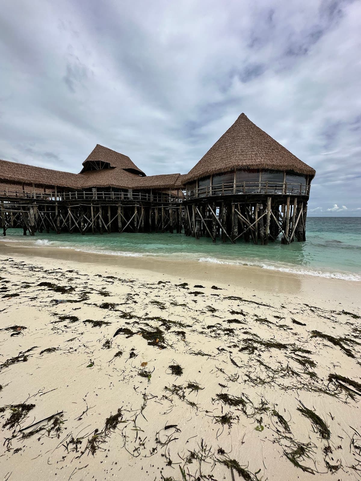 Nungwi Reef Zanzibar - Image 1