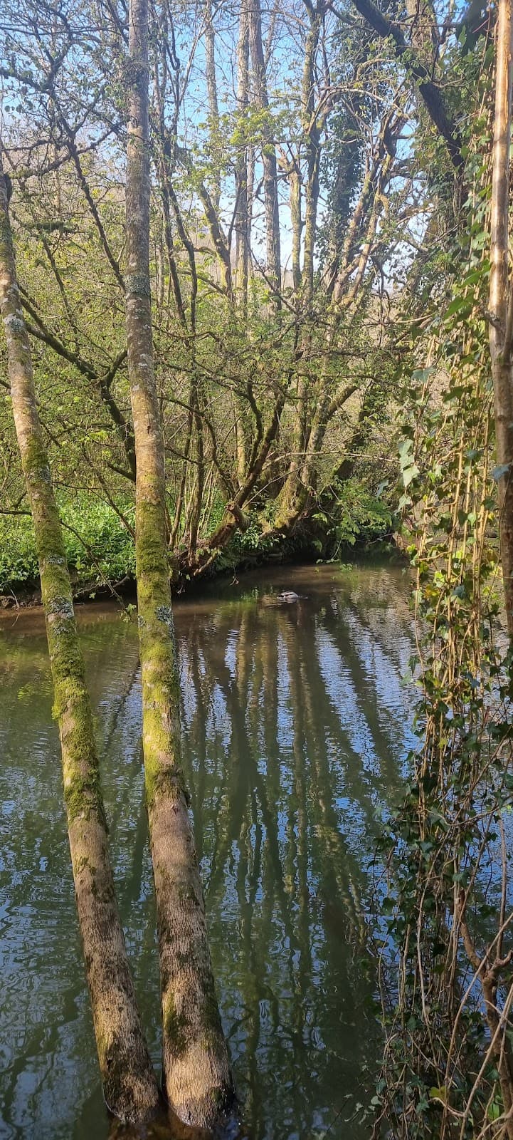 Town Quay and River Lemon Walk - Image 1