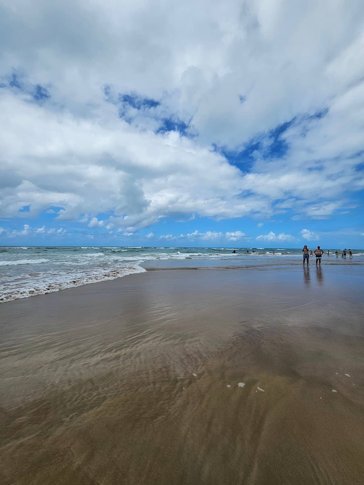 Snorkeling with Tropical Fish